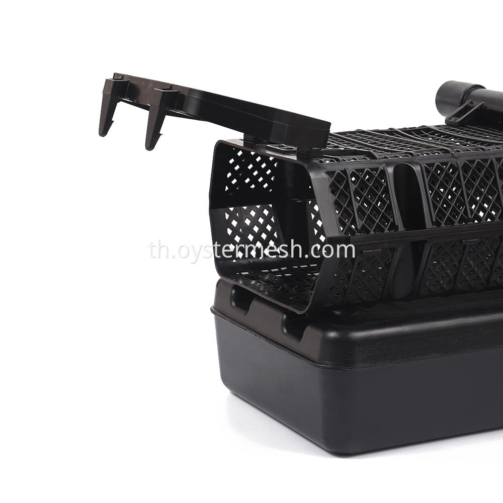IMG_8357 IMG_8357